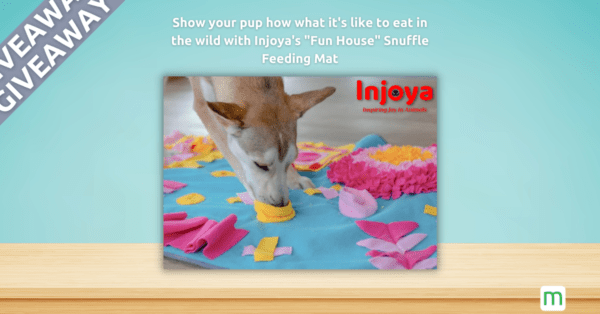 [ENDED] Enter to win Fun House – a mental enrichment slow feeder for dogs from Injoya