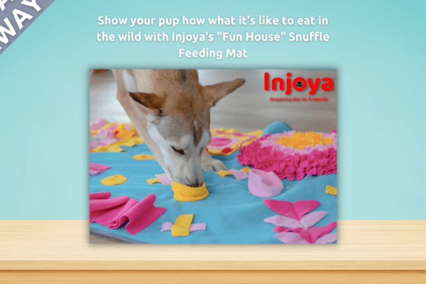 [ENDED] Enter to win Fun House – a mental enrichment slow feeder for dogs from Injoya