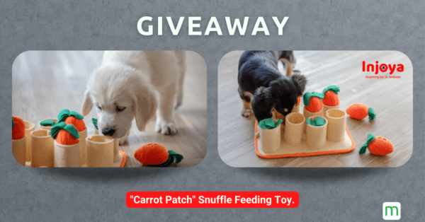 [ENDED] Enter to win the Carrot Patch – a slow feeder for dogs from Injoya