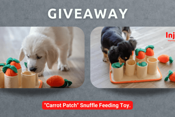 [ENDED] Enter to win the Carrot Patch – a slow feeder for dogs from Injoya