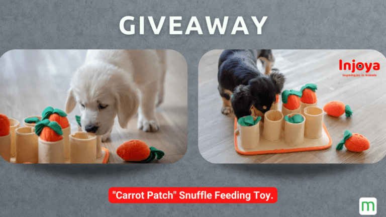 Dog eating out of a carrot patch slow feeder