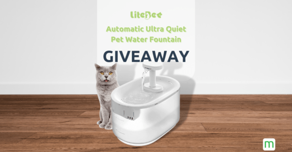 [ENDED] Enter to win Pet Water Fountain from LiteBee