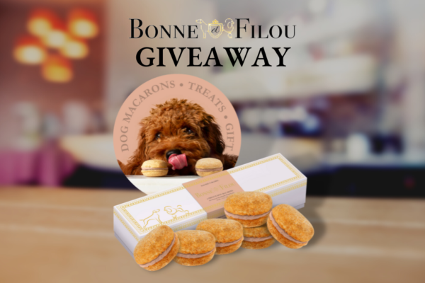 [ENDED] Enter to win a Box of 6 Dog Macarons from Bonne et Filou