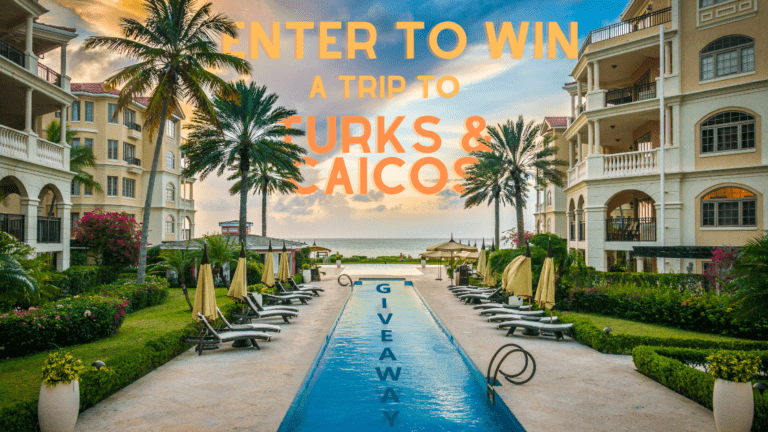 Pool framed in by hotels and palm trees