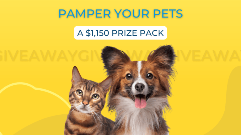 A happy cat and dog, $1,150 pamper your pet giveaway